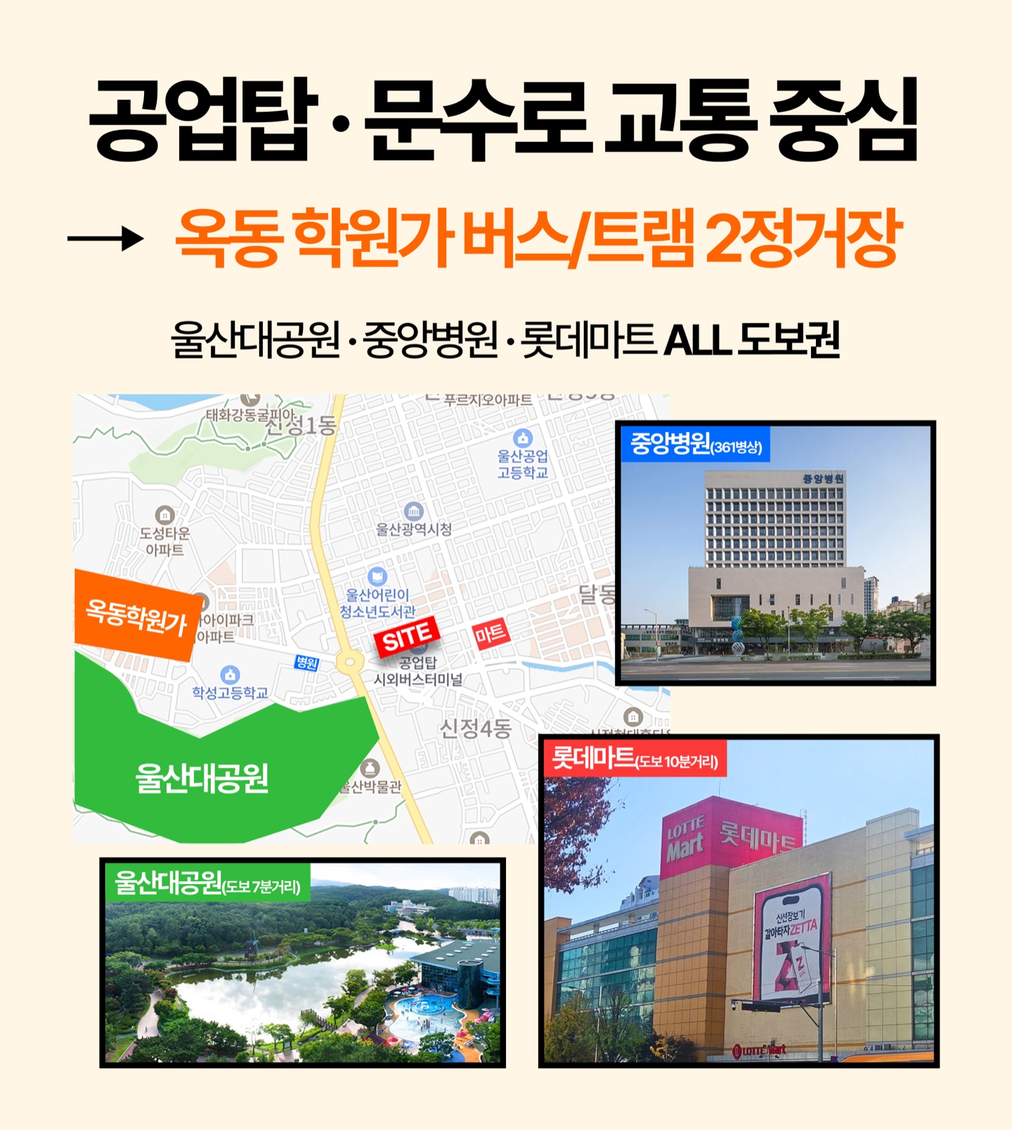 라티에르 673 교통 및 생활 인프라 안내